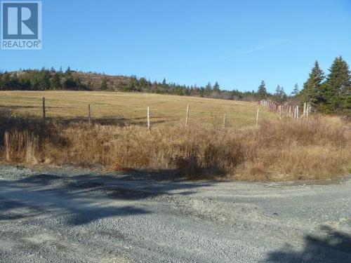 9 English Hill Extension, Carbonear, NL - Outdoor With View