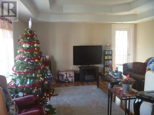 9 English Hill Extension, Carbonear, NL - Indoor Photo Showing Living Room