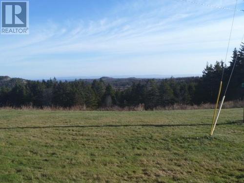 9 English Hill Extension, Carbonear, NL - Outdoor With View