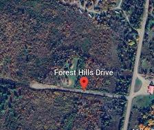 Lot 13 Forest Hill Drive  Central West River, NS B0K 1P0