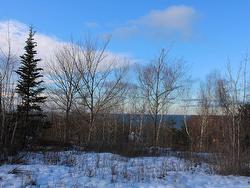 Lot Parker Mountain Road  Parkers Cove, NS B0S 1A0