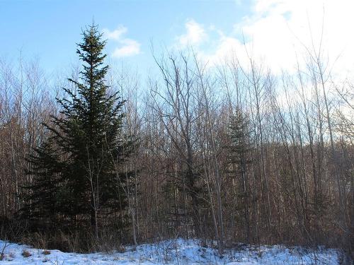 Lot Parker Mountain Road, Parkers Cove, NS 