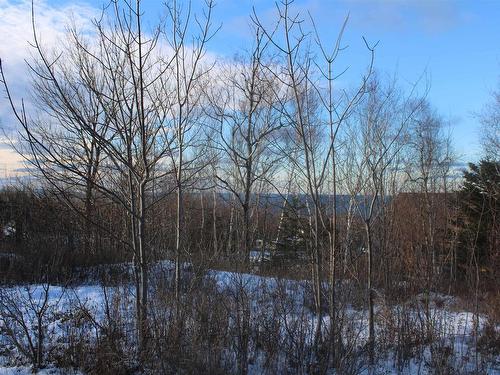 Lot Parker Mountain Road, Parkers Cove, NS 