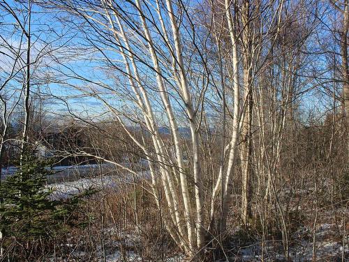 Lot Parker Mountain Road, Parkers Cove, NS 