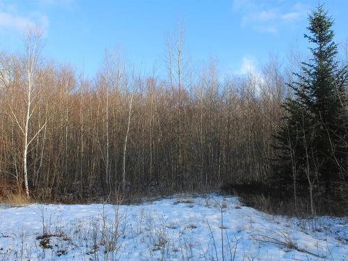 Lot Parker Mountain Road, Parkers Cove, NS 