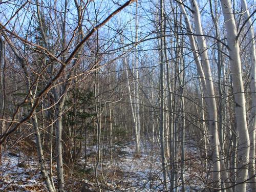 Lot Parker Mountain Road, Parkers Cove, NS 