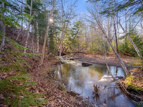 Pine Tree Road, Pine Tree, NS 