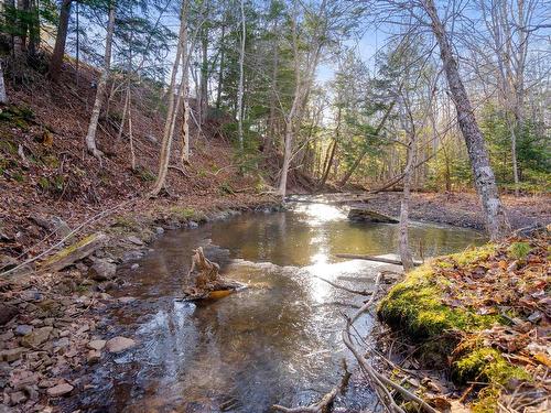 Pine Tree Road, Pine Tree, NS 