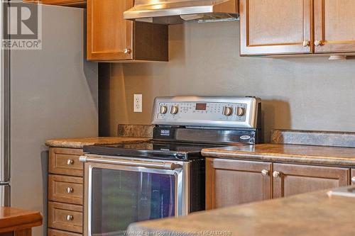 1130 Pearson Avenue, Windsor, ON - Indoor Photo Showing Kitchen