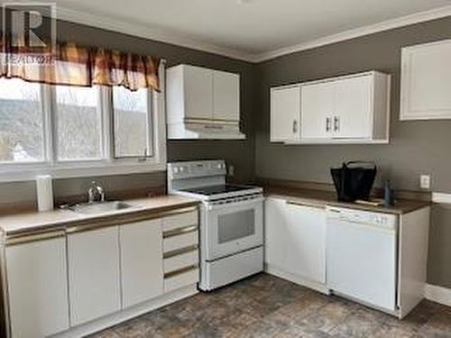 28 Road De Lux Road, St. John'S, NL - Indoor Photo Showing Kitchen