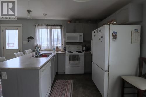 16 Hiscocks Lane, Norris Point, NL - Indoor Photo Showing Kitchen With Double Sink