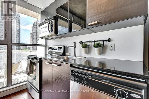 1004 - 179 George Street, Ottawa, ON - Indoor Photo Showing Kitchen With Double Sink