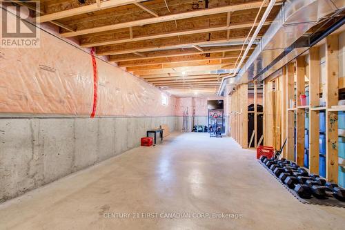 147 Willow Ridge Road, Middlesex Centre (Ilderton), ON - Indoor Photo Showing Basement