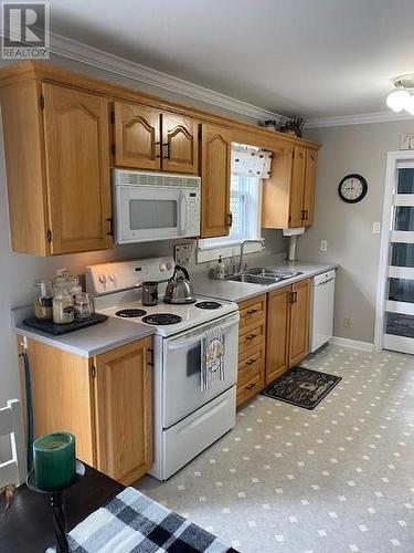 51 Hawker Crescent, Gander, NL - Indoor Photo Showing Kitchen With Double Sink