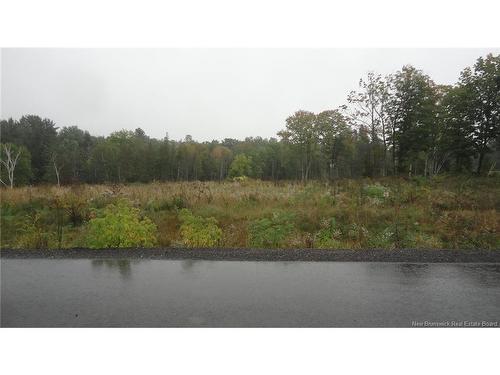 Lot 1 Pleasant Tree Wy, Island View, NB 