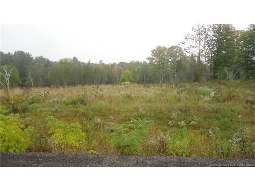 Lot 1 Pleasant Tree Wy, Island View, NB 