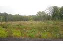 Lot 1 Pleasant Tree Wy, Island View, NB 