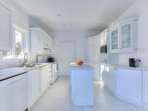 Kitchen - 476 Av. Ellerton, Mont-Royal, QC - Indoor Photo Showing Kitchen With Double Sink