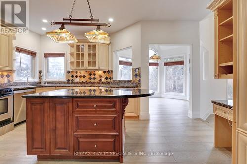 7 Deer Run Crescent, Halton Hills, ON - Indoor Photo Showing Kitchen