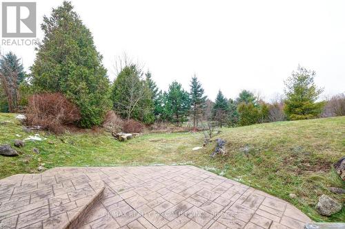 7 Deer Run Crescent, Halton Hills, ON - Outdoor