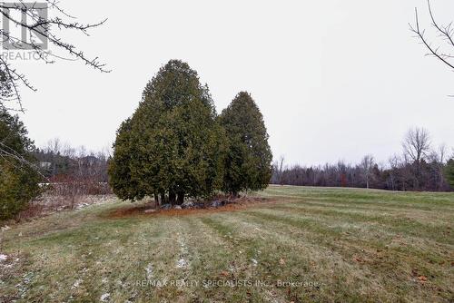 7 Deer Run Crescent, Halton Hills, ON - Outdoor With View