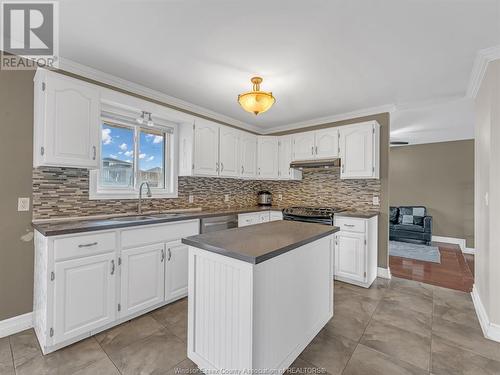 28 Carter Avenue, Leamington, ON - Indoor Photo Showing Kitchen With Upgraded Kitchen