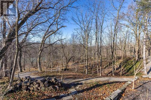 50 Hillcrest Avenue, St. Catharines (457 - Old Glenridge), ON - Outdoor With View