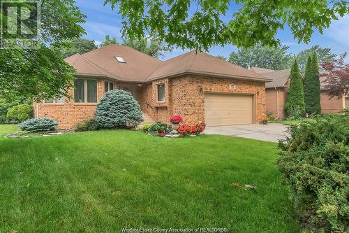 559 Lisa Crescent, Windsor, ON - Outdoor