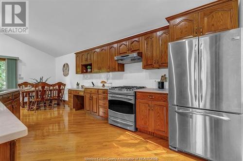 559 Lisa Crescent, Windsor, ON - Indoor Photo Showing Kitchen