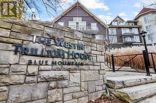 477 - 220 Gord Canning Drive, Blue Mountains (Blue Mountain Resort Area), ON - Outdoor