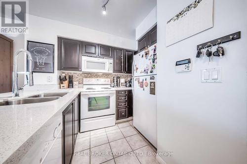 1005 - 231 Fort York Boulevard, Toronto, ON - Indoor Photo Showing Kitchen With Double Sink