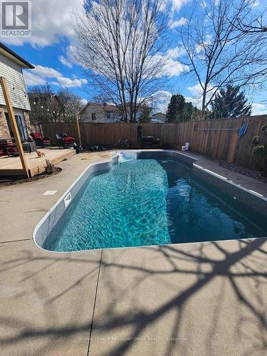 11 Wright Avenue, Halton Hills, ON - Outdoor With In Ground Pool With Backyard