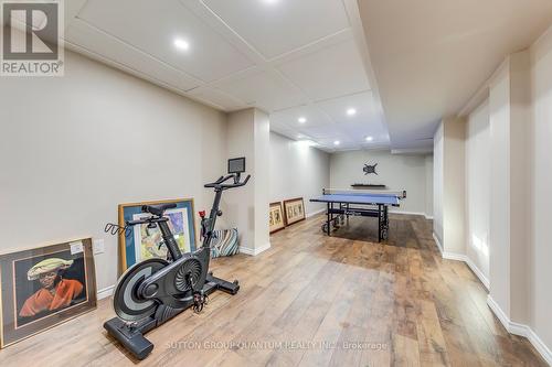 10 Anne Court, Grimsby, ON - Indoor Photo Showing Gym Room