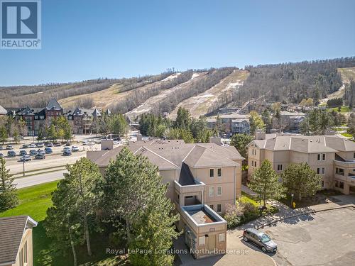 204 - 169 Jozo Weider Boulevard, Blue Mountains (Blue Mountain Resort Area), ON - Outdoor With View