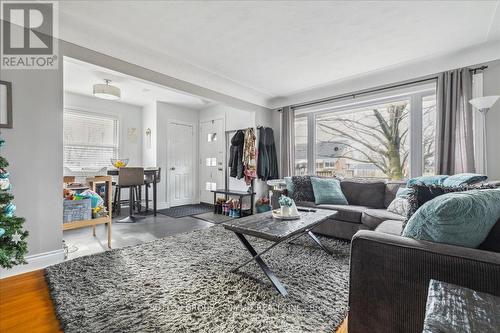 Upper - 9 Grenadier Drive, Hamilton, ON - Indoor Photo Showing Living Room