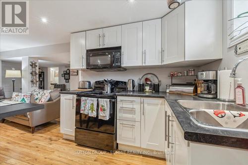 Lower - 9 Grenadier Drive, Hamilton, ON - Indoor Photo Showing Kitchen With Double Sink