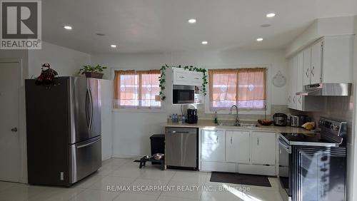 208 West 19Th Street, Hamilton, ON - Indoor Photo Showing Kitchen With Double Sink