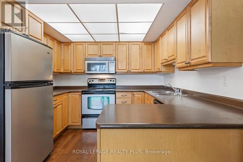 311 - 310 Mill Street S, Brampton, ON - Indoor Photo Showing Kitchen