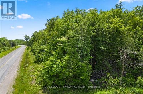 0 Marlbank Rd, Tweed, ON 