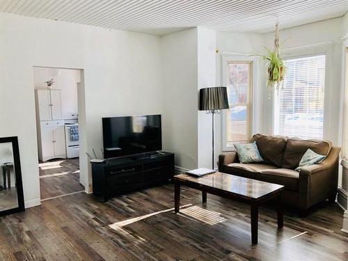 113 Princess Avenue E, Brandon, MB - Indoor Photo Showing Living Room