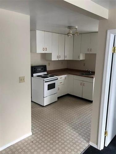 113 Princess Avenue E, Brandon, MB - Indoor Photo Showing Kitchen