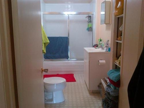 113 Princess Avenue E, Brandon, MB - Indoor Photo Showing Bathroom