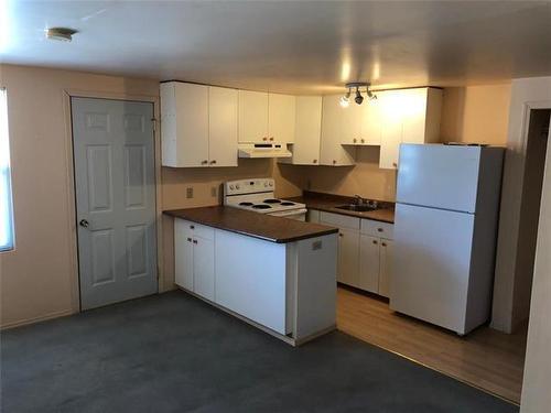 113 Princess Avenue E, Brandon, MB - Indoor Photo Showing Kitchen