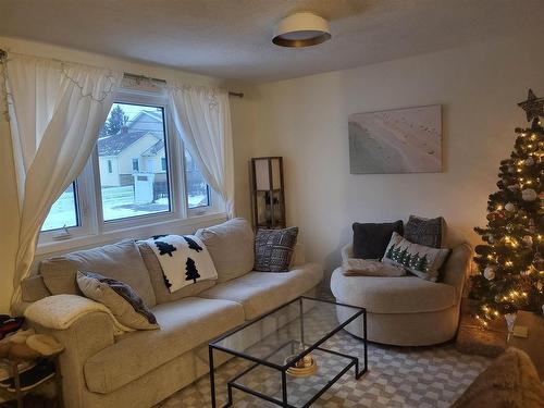 355 Ontario, Thunder Bay, ON - Indoor Photo Showing Living Room