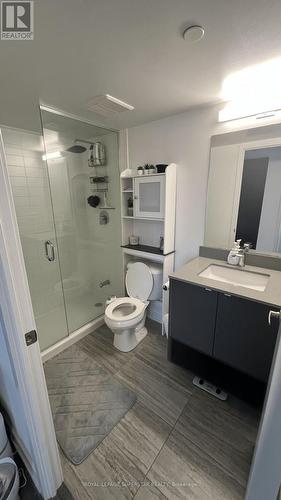 A403 - 1117 Cooke Boulevard, Burlington, ON - Indoor Photo Showing Bathroom