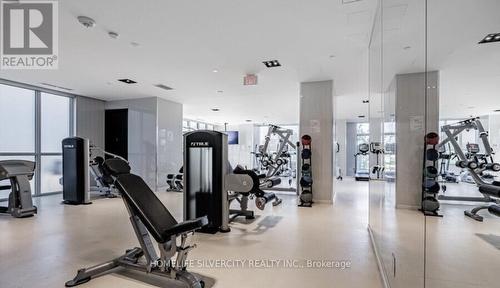 3209 - 56 Annie Craig Drive, Toronto, ON - Indoor Photo Showing Gym Room