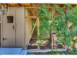 Backyard, Chicken Coop - 