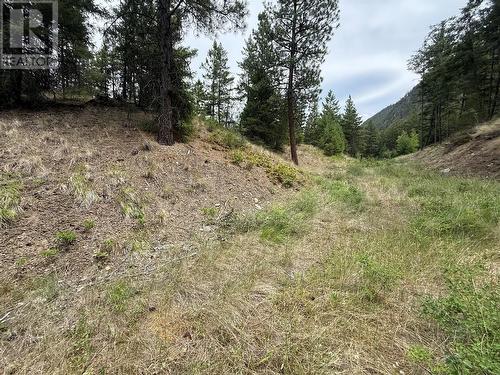 938S Hwy 3 Unit# Dl, Princeton, BC 