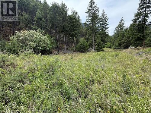 938S Hwy 3 Unit# Dl, Princeton, BC 