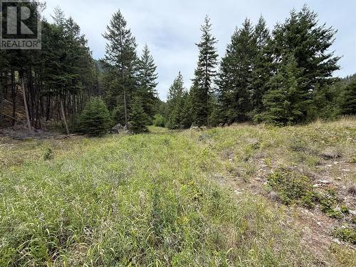 938S Hwy 3 Unit# Dl, Princeton, BC 